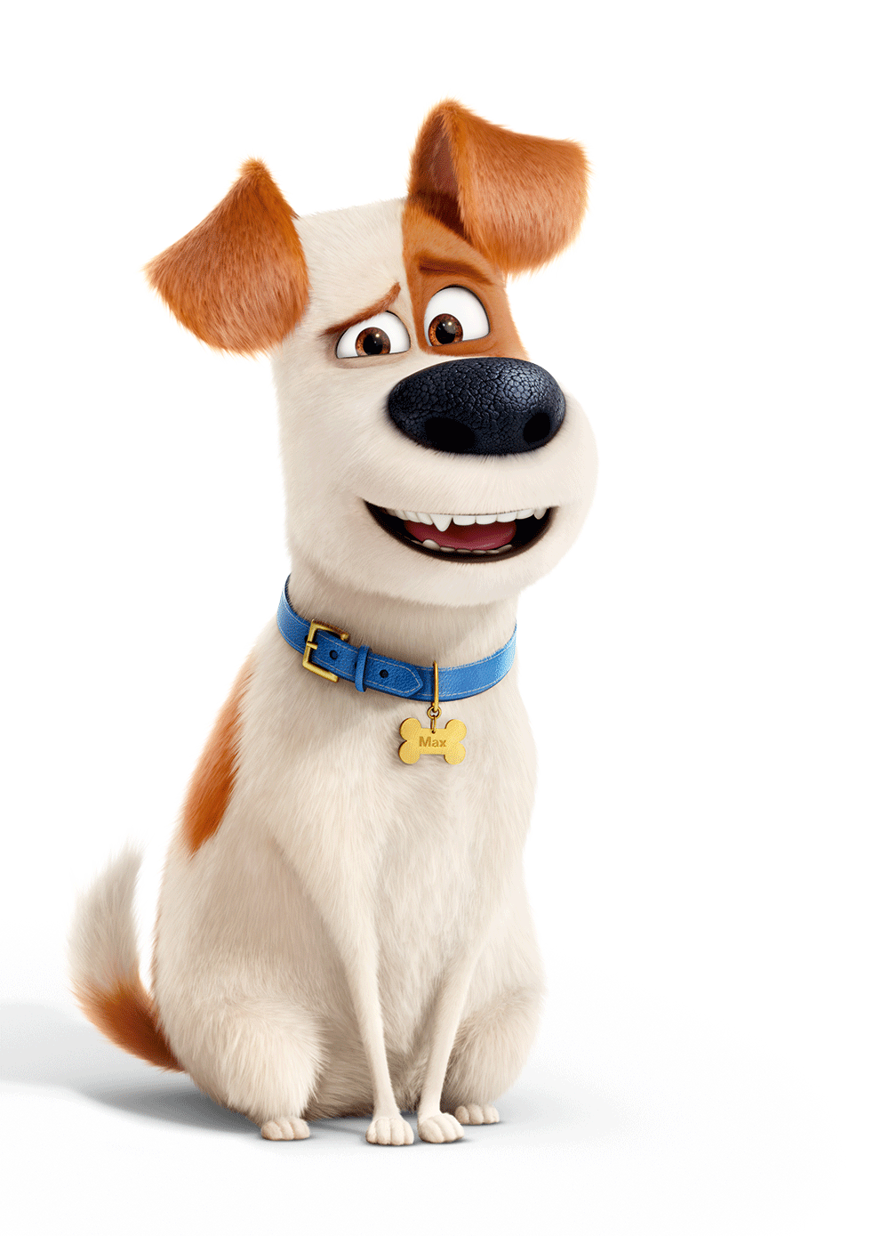 Max from The Secret Life of Pets Animated Movie