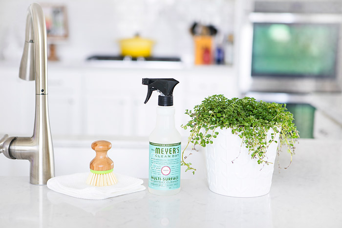 Mrs Meyer's Clean Day Multi-Surface Spray Cleaner