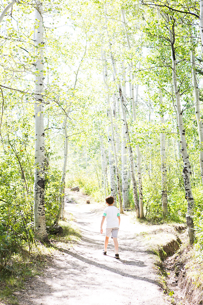 Fish Creek Falls Family Friendly Hikes in Steamboat Springs