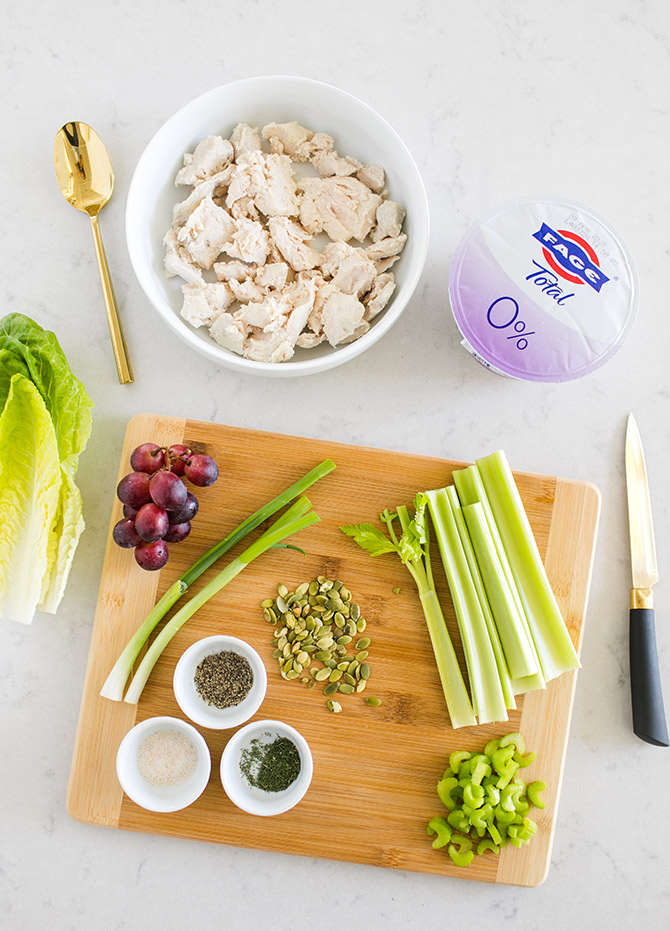 Healthy Chicken Salad Recipe with Fage Greek Yogurt 